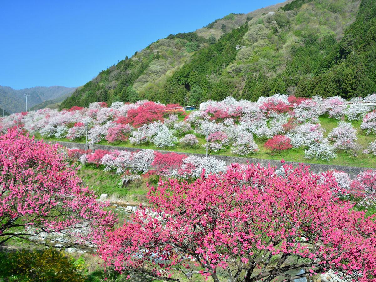 Oogute Kohan Shirasagi So Shimojomura Exterior foto